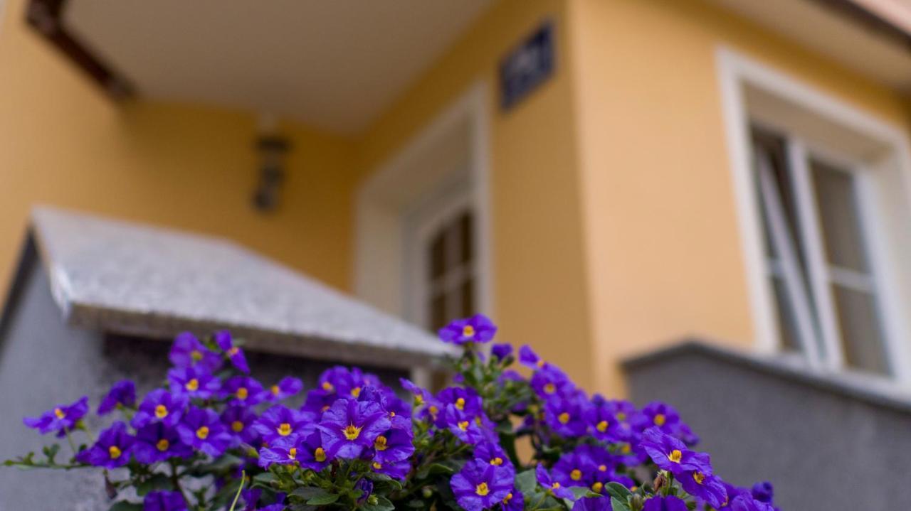 Ferienwohnung Claudia Salzburg Zewnętrze zdjęcie