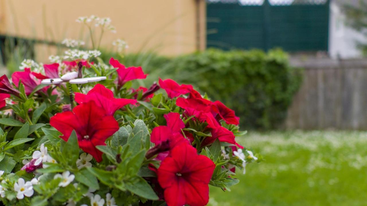 Ferienwohnung Claudia Salzburg Zewnętrze zdjęcie